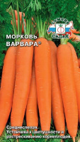 Морковь Варвара СЕДЕК