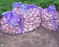 Сетка-мешок 40*60 см с завязками Фиолетовый Протэкт
