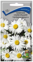Нивяник Серебрянная принцесса ПОИСК АКЦИЯ