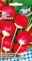 Редис Санька СЕДЕК