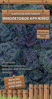 Капуста листовая Фиолетовое кружево ПОИСК