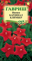 Ипомея Кардинал Климбер ГАВРИШ