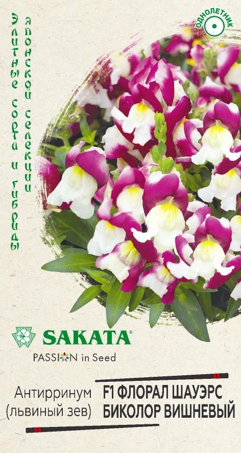 Антирринум (Львиный зев) Флорал шауэрс Биколор вишневый F1 ГАВРИШ