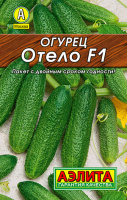 Огурец Отело F1 ЛИДЕР АЭЛИТА АКЦИЯ