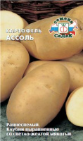 Картофель Ассоль СЕДЕК