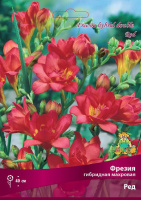 Фрезия махровая Ред 5/6, 1шт