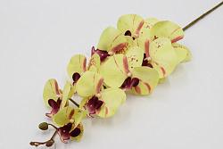 Орхидея Дора ветка 108см 2566