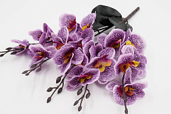 Орхидея Алита букет 45см 8110 
