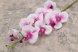 Орхидея Лаурель пропелен ветка 105см 2869